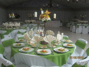 maria teresa Anuncios de arte, joyas, cosas valiosas en Santiago |  banqueteria maria teresa eventos 9845065, matrimonios, garduaciones, bautizos, aniversarios, cocktail, etc