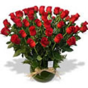 Floreria Rosalinda Anuncios de arte, joyas, cosas valiosas en Independencia |  Flores a Domicilio: www.rosalinda.cl, Interpretamos el lenguaje de las Flores