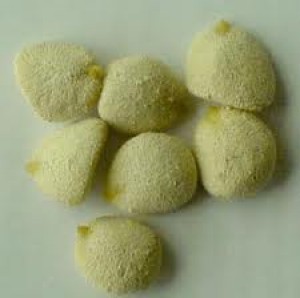 paola Anuncios de arte, joyas, cosas valiosas en Santiago |  Nuez de la India $ 13000, semilla para adelgazar 100% natural