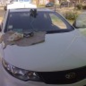 francisco parabrisas Anuncios de arte, joyas, cosas valiosas en Maip&uacute; |  Vidrios para vehiculos- Reparacion de parabrisas-Parabrisas LyG, Focos-Parachoques-Vidrios Automotrices