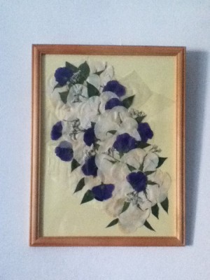  Anuncios de arte, joyas, cosas valiosas en Providencia |  :::ENMARCA TU RAMO DE NOVIA QUEDAN CONSERVADOS PARA TODA LA VIDA, WWW.RAMOSETERNOS.COM