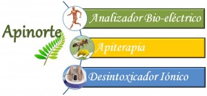 jacqueline zu&ntilde;iga Anuncios de arte, joyas, cosas valiosas en Iquique |  terapia apiterapia en iquique curar y prevenir enfermedades, apiterapia en iquique