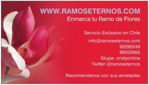 cristina Diaz  Anuncios de arte, joyas, cosas valiosas en Las Condes |  Enmarcado de ramos de novia, www.ramoseternos.com Concepcion, Cristina Diaz, www.ramoseternos.com Santiago y Regiones