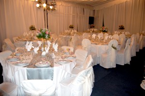 viviana bustamante Anuncios de arte, joyas, cosas valiosas en Santiago |  Centro de eventos, banqueteria, animaci&oacute;n e iluminaci&oacute;n., Banqueteria, animaci&oacute;n, iluminacion