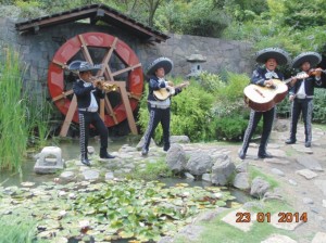 Mariachi Tierra Nueva Anuncios de arte, joyas, cosas valiosas en Santiago |  Mariachi tierra nueva, una hermosa sorpresa:2573 31 58, !!! serenatas a domicilio:fono(022) 573 31 58 !!!