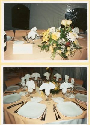 EVENTOS SIGLO XXI Anuncios de arte, joyas, cosas valiosas en Maip&uacute; |  CENAS  INTEGRALES 2009, BANQUETER�A PRODUCCI�N COMPLETA MATRIMONIOS Y GRADUACIONES