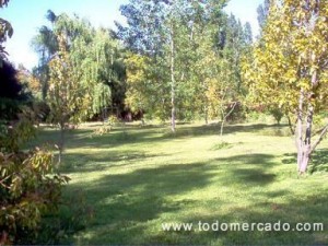 maria teresa Anuncios de arte, joyas, cosas valiosas en Santiago |  hermosa parcela centrica con banqueteria 2681366, matrimonios,graduaciones,bautizos,eventos a empresas, etc