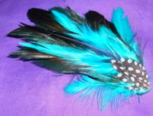 inga dise&ntilde;os Anuncios de arte, joyas, cosas valiosas en Santiago |  accesorios con plumas, aros, pinches, brazaletes y mas con plumas naturales