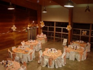 VIVIANA EVENTOS  Anuncios de arte, joyas, cosas valiosas en Santiago |  SERVICIO DE BANQUETES PARA MATRIMONIOS, COCKTAILS ,CENAS DE GALA , banqueteria para matrimonios, cenas de gala etc  FONO 6573510