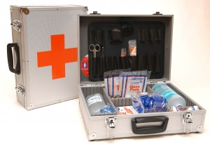 FRANCISCO Anuncios de arte, joyas, cosas valiosas en Recoleta |  BOTIQUINES  ALUMINIO, WWW.VENTAS BOTIQUINES. CL